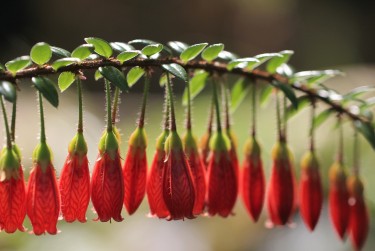 惠州惠城区6私人快速借钱网，轻松解决资金难题