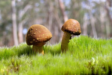 惠州惠城区6私人老板放款：轻松融资的秘密通道